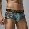Boxer hombre dragon