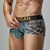 Boxer hombre dragon