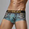 Boxer hombre dragon