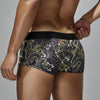 Boxer hombre dragon