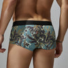Boxer hombre dragon