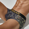 Boxer hombre dragon