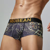 Boxer hombre dragon