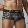Boxer hombre dragon