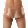 Mini boxer brillante elefante