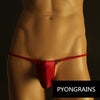 Microtanga elefante red transparente - Microtanga - autopostr_pinterest_48604, bulge, elefante, Hombre, red, sexy, xxx - 365Briefs -