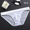 Slip semitransparente a rayas - Bikini - algodon, atrevido, autopostr_pinterest_48603, autopostr_pinterest_48606, bikini, comfort, Hombre, red, sexy - 365Briefs -
