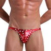 Bañador tanga brillante - Tanga - atrevido, autopostr_pinterest_48606, bañadores, bulge, Hombre, lycra, metalico, sexy, tanga - 365Briefs -