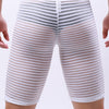 Boxer largo a rayas transparente - Boxer - atrevido, autopostr_pinterest_48602, boxer, comfort, Hombre, lycra, red, tradicional - 365Briefs -